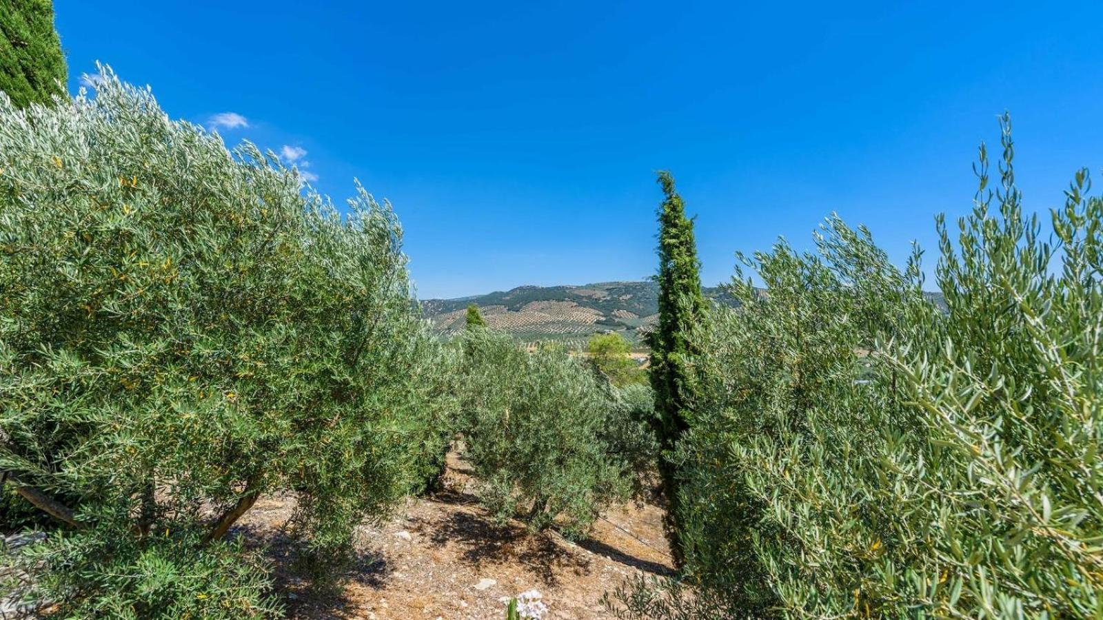 Cortijo Casablanca Priego De Cordoba By Ruralidays Villa Luaran gambar